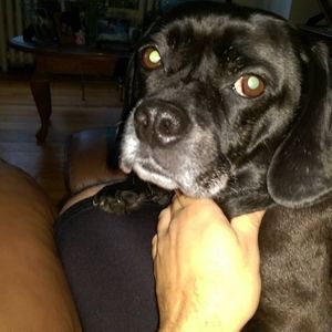 Meet your Posher, Richard